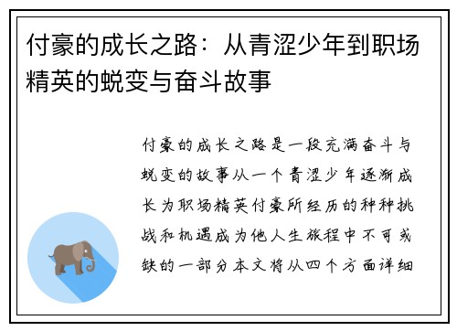 付豪的成长之路：从青涩少年到职场精英的蜕变与奋斗故事