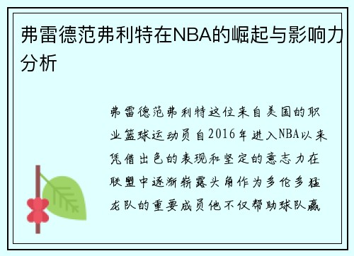 弗雷德范弗利特在NBA的崛起与影响力分析