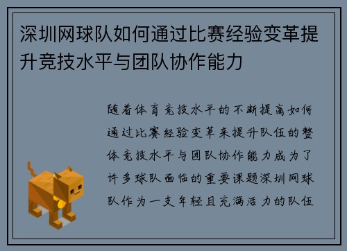 深圳网球队如何通过比赛经验变革提升竞技水平与团队协作能力